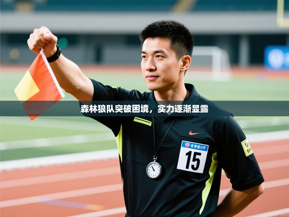 森林狼队突破困境，实力逐渐显露  第2张